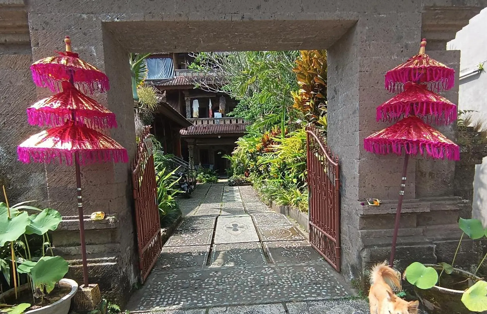 Mandala Blu Wellness Hotel Ubud